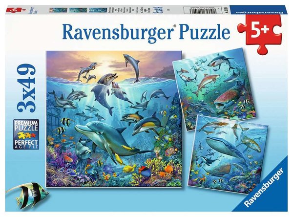Puzzle: Tierwelt des Ozeans (3x49 Teile)